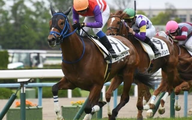 【今日の注目ポイント】函館開催のラストを飾る函館記念