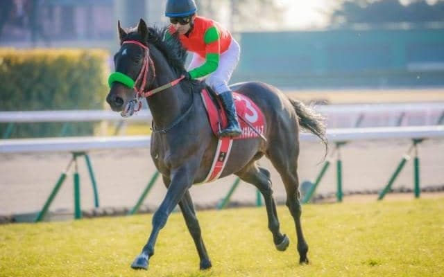 【函館記念予想】函館開催を締めくくるハンデ重賞 人気馬にとっては鬼門のレース!?