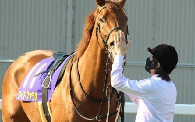 【浦和・プラチナC枠順確定】ワイドファラオは2枠2番、ティーズダンクは6枠6番