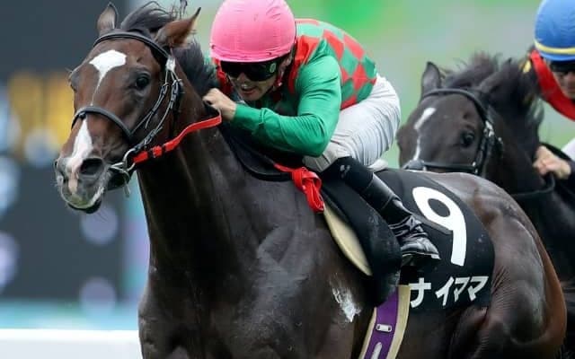 【次走】ナイママが7月末に復帰 昨年の巴賞3着から屈腱炎で休養中