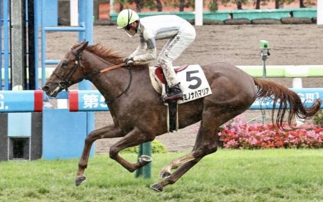 【新馬/函館5R】ハービンジャー産駒 キミノナハマリアがデビューV