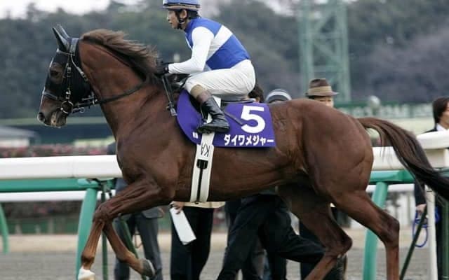 JRA史上13頭目！ ダイワメジャーの産駒がJRA通算1200勝達成　アドマイヤマーズ、メジャーエンブレムなどマイル路線を中心に多数の活躍馬を輩出