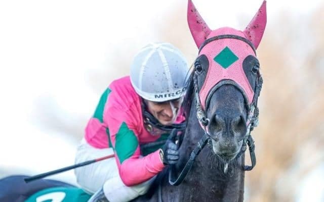 小倉開催の中京記念、盛岡ではマーキュリーC/今週の競馬界の見どころ