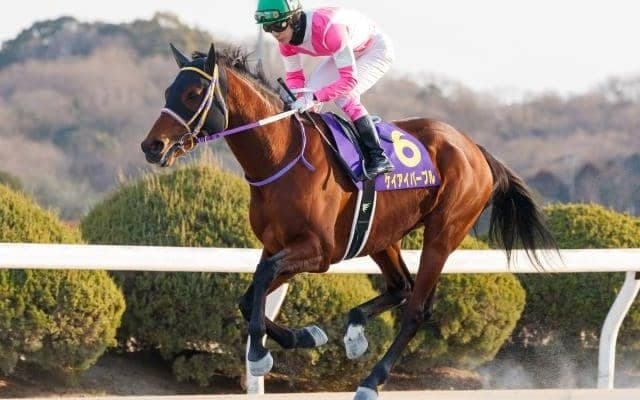 【マーキュリーC】実力拮抗の好メンバー集結、ここから大舞台へ飛躍するのは…