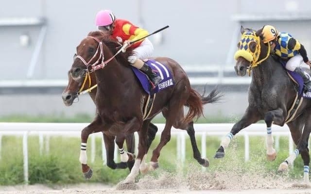 【名古屋・名港盃結果】7番人気ペイシャシオンが押し切り重賞初挑戦V