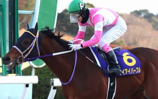 マーキュリーカップのケイアイパープルは藤岡康太騎手から山本政聡騎手に乗り替わり