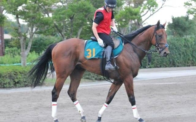 メジャーエンブレムの仔で初の牡馬 スワッグチェーンが三浦皇成騎手でデビュー/関東馬メイクデビュー情報