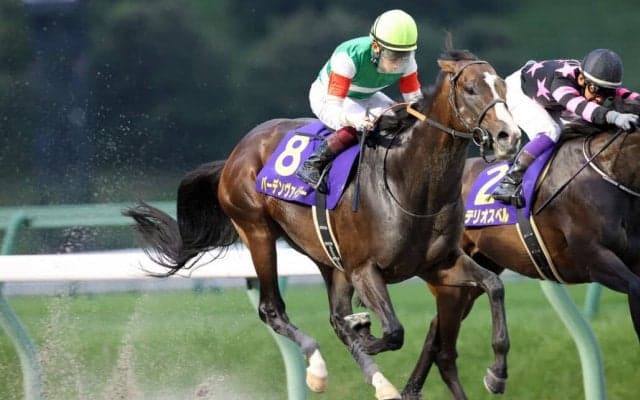 【マーキュリーC】バーデンヴァイラーが交流重賞初制覇