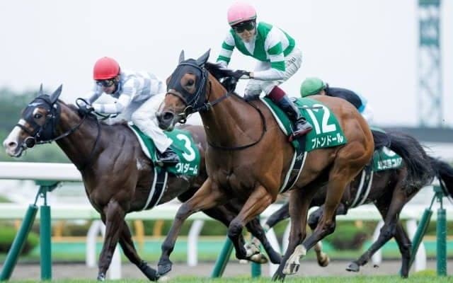JRA2歳種牡馬ランキング首位のビッグアーサー 日本競馬史に残る名馬群を生み出してきたテスコボーイ系