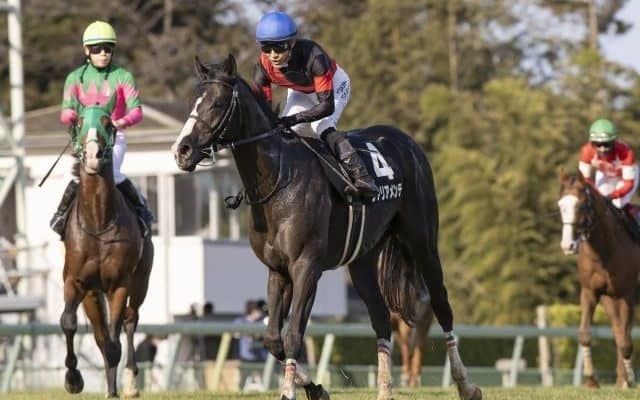 【中京記念展望】今年も小倉開催、あの馬の巻き返しを期待したい