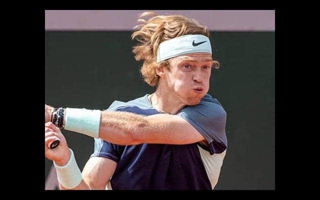  ルブレフ 露政府に言及 