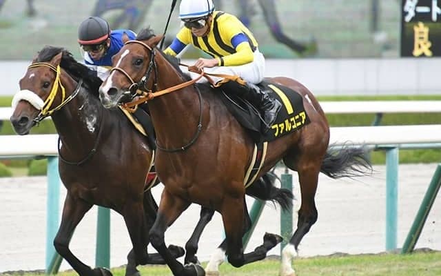 【AI予想・中京記念】波乱含みのハンデ戦！ 堅実な「重賞未勝利馬」が惜敗に終止符？