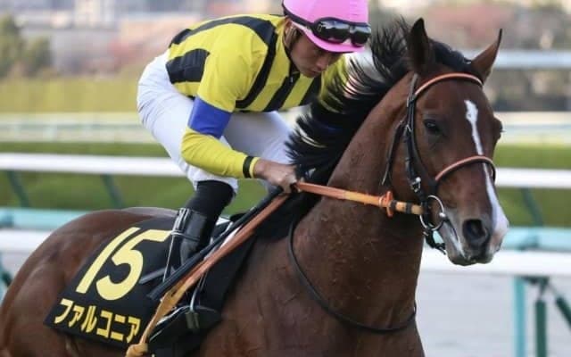 【中京記念予想オッズ】ファルコニアが予想1番人気