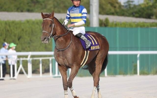 【プラチナC】JpnI勝ち馬など実績馬が多数出走、浦和の夏を飾る短距離戦