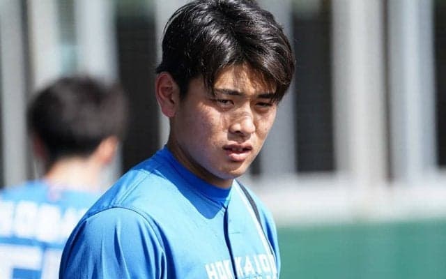 ストライクゾーンにほぼ死角なし？　ハム野村佑希の長所と課題に3つのデータで迫る