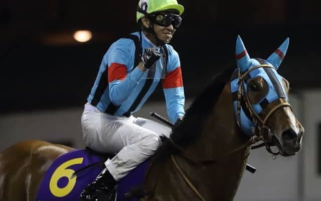 【次走】ウェルドーンは引き続き武豊騎手とのコンビでブリーダーズゴールドCへ　昨年の関東オークス覇者