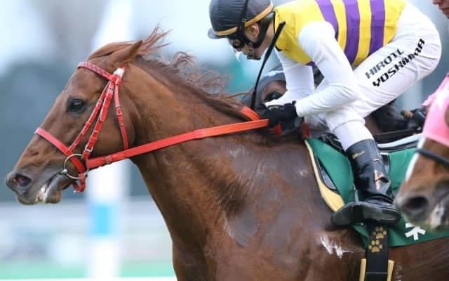 新種牡馬ネロの産駒が初勝利　19日門別3Rで後続に2秒差をつける圧勝