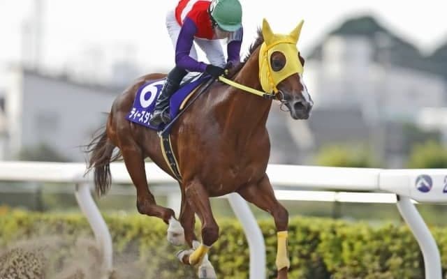 【浦和・プラチナC結果】ティーズダンクが押し切って重賞5勝目