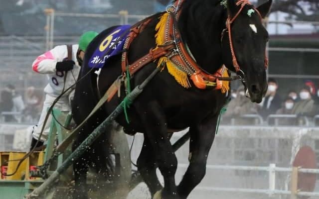 ばんえいの名馬オレノココロがヘルニアによる機能不全で死亡　歴代重賞勝利数最多、ばんえい最優秀馬を3度受賞