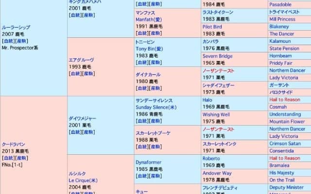 伯父はマイル重賞馬グランシルク　ラパンラピッドが24日福島でデビュー予定
