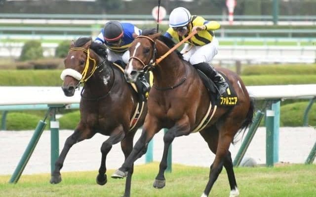 【中京記念予想】今年はやや堅めの決着か!? AIが指名した意外な注目馬とは？