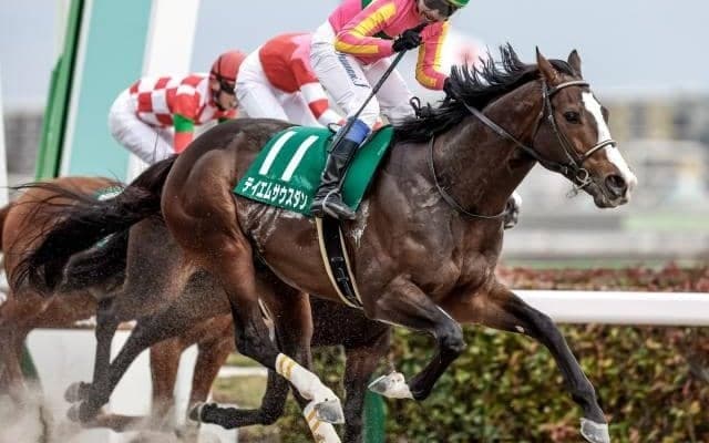 【JRA】テイエムサウスダンが蛯名正義厩舎に転厩 今秋は東京盃からJBCスプリントへ