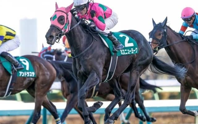 【中京記念出走馬・騎手確定】ファルコニア＆川田将雅騎手、カデナ＆今村聖奈騎手、ミスニューヨーク＆M.デムーロ騎手など16頭