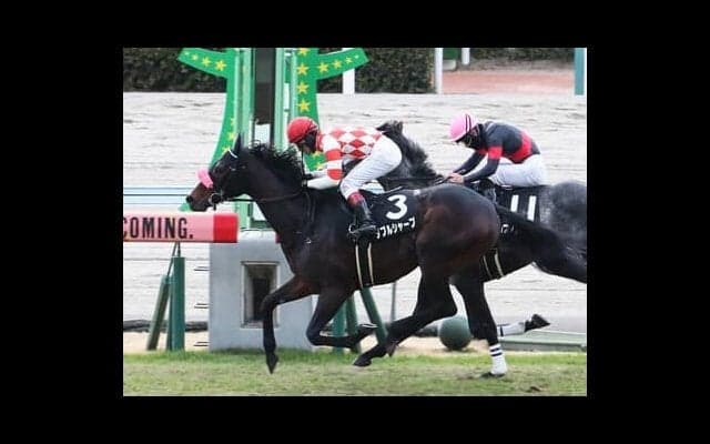 中京記念は好調「過去データ」から導き出された４頭で夏のビッグボーナスをつかめ！