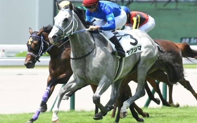 【小倉5R新馬戦結果】ヤクシマが中団から差し切る