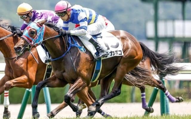 【次走】福島の新馬戦Vのチカポコは小倉2歳Sへ