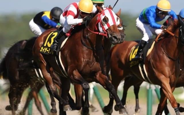 【今日の注目ポイント】小倉でサマーマイル第2弾・中京記念