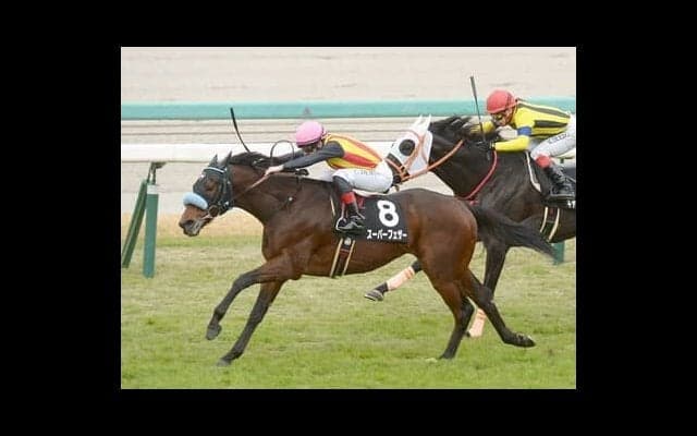 中京記念は例年以上に混戦模様。穴党記者は一変見込めるベテラン２頭の大駆けに期待