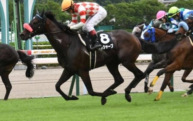 【中京記念予想】傷んだ馬場を得意とするあの馬に期待