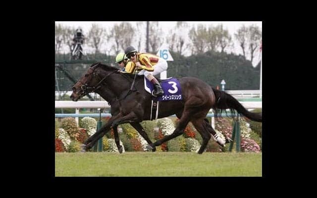 金子オーナーが高額で落札したシャザーン。「長くいい脚を使う」評判馬の実力はいかに