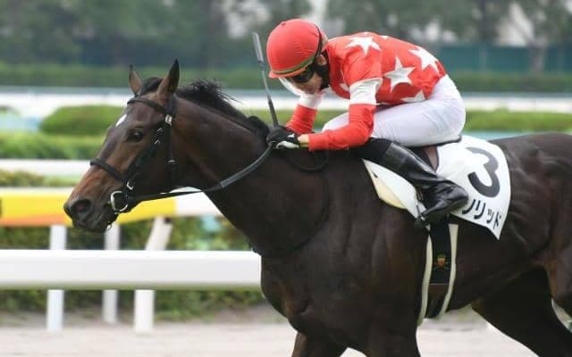 【小倉5R新馬戦結果】レッドソリッドが二枚腰で押し切る