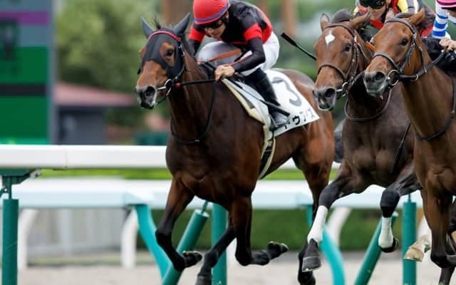 【札幌5R新馬戦結果】ドゥアイズが瞬発力勝負を制す　吉田隼人騎手は通算1100勝達成