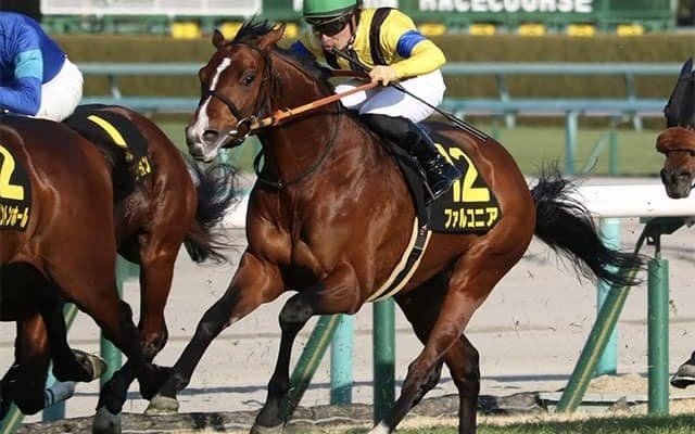 【中京記念・馬体重】ファルコニアは468kg(-4)、ミスニューヨークは468kg(0)