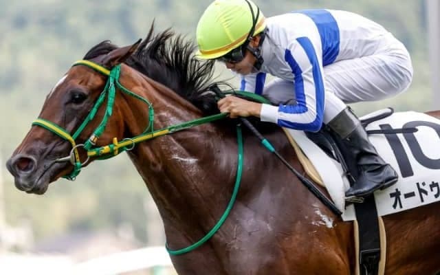 福島10Rで落馬の菅原明良騎手とジュンブルースカイは人馬ともに異状なし　スタート後に躓き空馬のままゴール