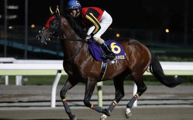 【大井・マイルグランプリ枠順確定】GI馬タイムフライヤーは1枠1番、4連勝狙うスマイルウィは7枠9番