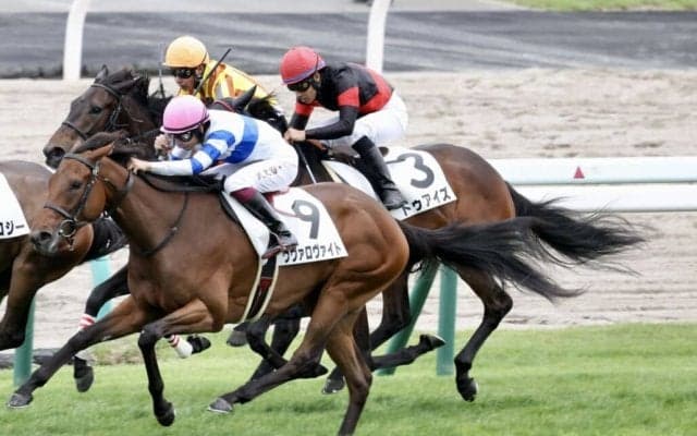 【新馬/札幌5R】ルーラーシップ産駒 ドゥアイズがデビューV