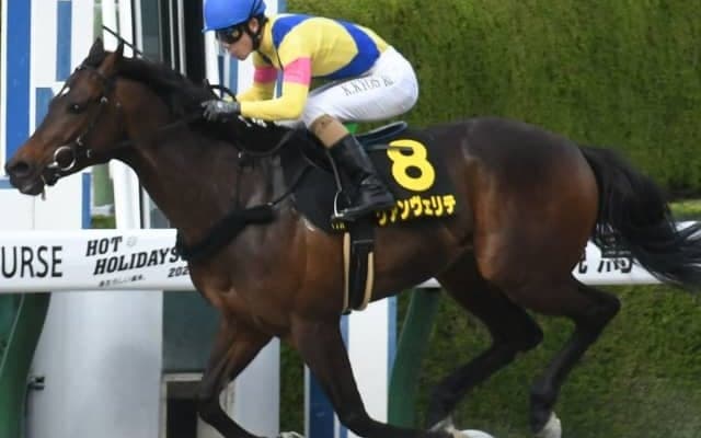 【先週のJRA抹消馬】OP3勝の逃げ馬リアンヴェリテ、重賞好走多数のウインイクシードなど