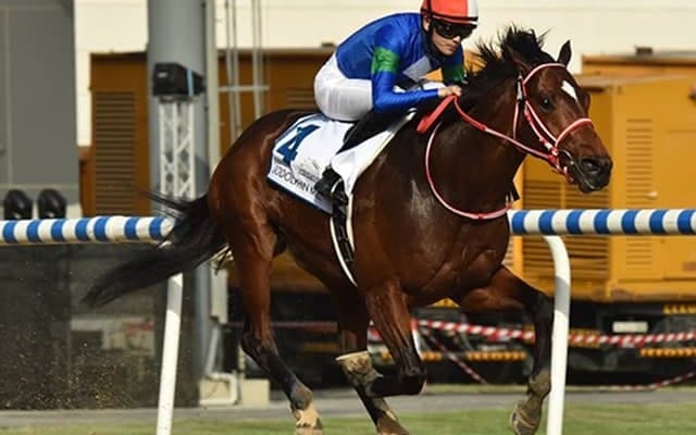 【JRA】バスラットレオンが参戦予定 ジャックルマロワ賞の国内馬券発売が決定