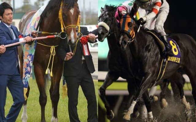 【セレクションセール2022】ジェンティルドンナの近親やエフフォーリアと同牝系の良血馬などが上場／注目馬一覧・1日目