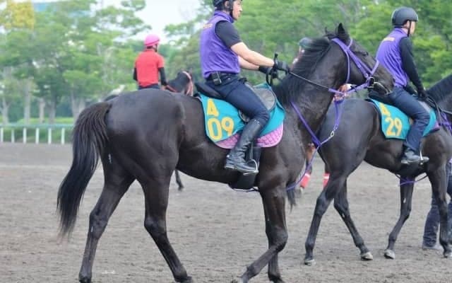 キンカメ産駒の母は重賞2勝、鹿戸調教師も期待するライツオブキングスがデビュー/関東馬メイクデビュー情報