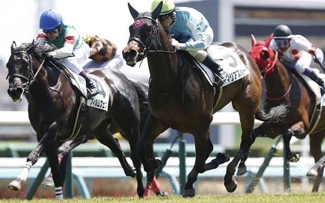 【アイビスSD想定騎手】マリアズハートは菊沢一樹騎手、オールアットワンスは石川裕紀人騎手