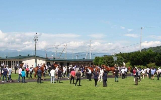 セレクションセール2022の前日展示会が開催