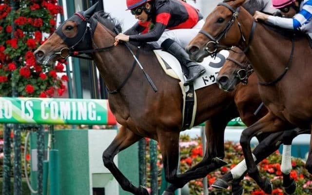 ルーラーシップ×ディープインパクトのドゥアイズ 過去の活躍馬からオークス向き？