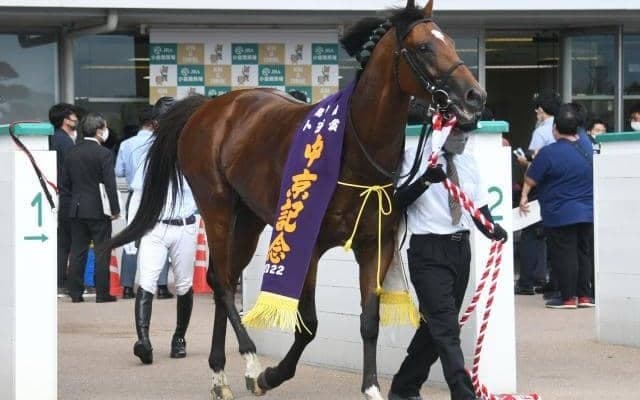 重賞初制覇のベレヌス 父母双方のローカル適性と最大限の力を発揮