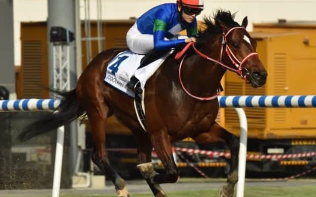 【英G1・サセックスS】8戦無敗バーイードは2番ゲート、バスラットレオンは5番ゲートから発走