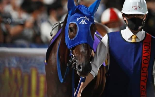 10歳馬ノンコノユメが現役生活に幕 JDD＆フェブラリーSを制し新天地でも活躍